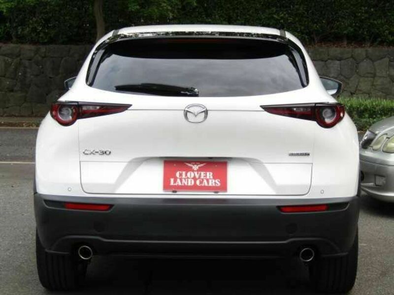 CX-30