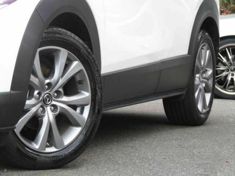 CX-30