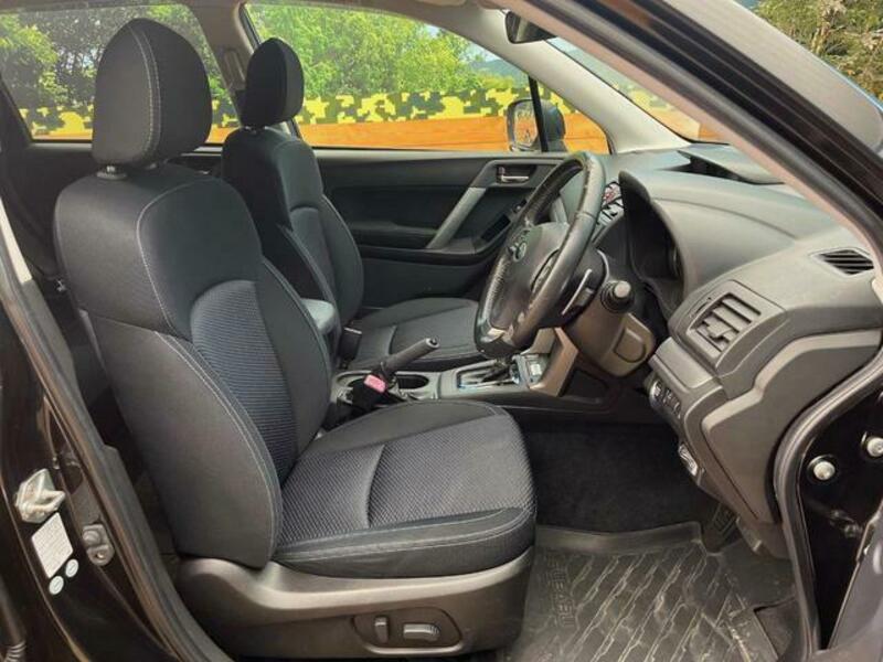 FORESTER