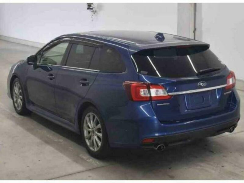 LEVORG