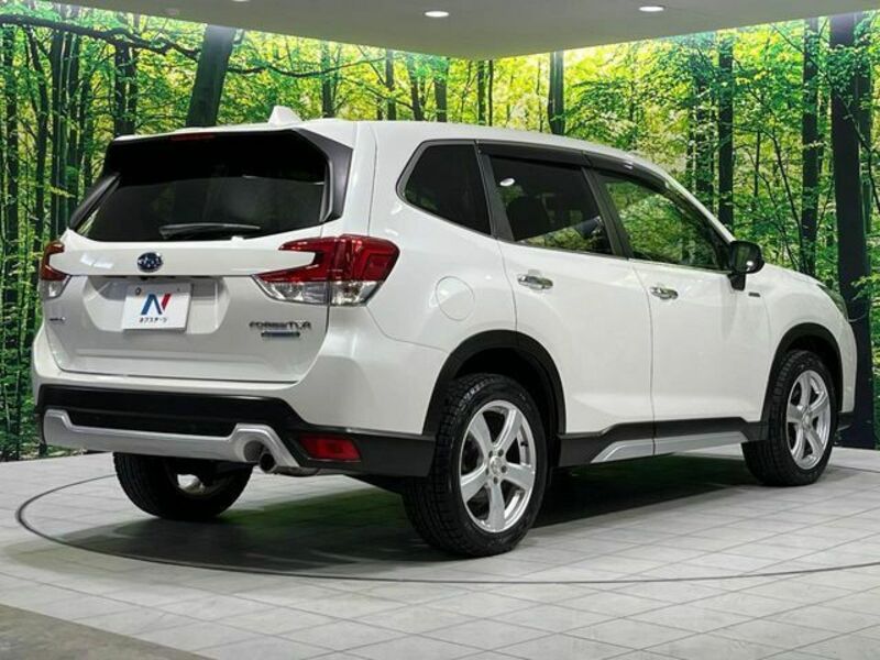FORESTER