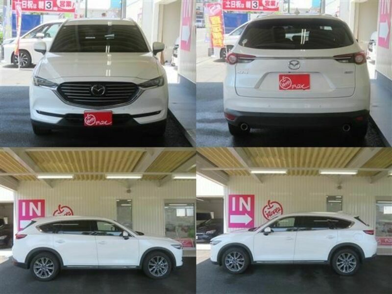 CX-8