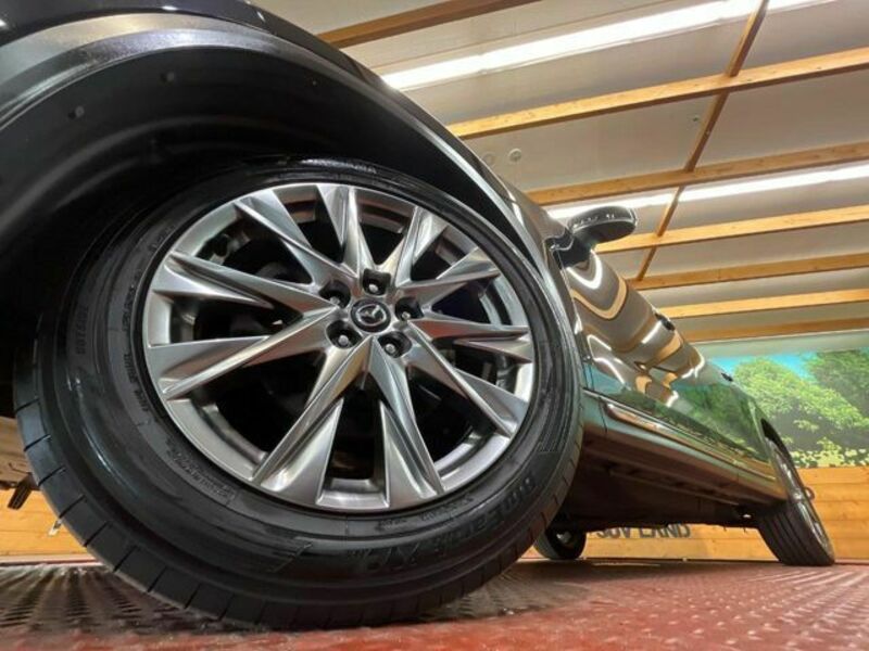 CX-8