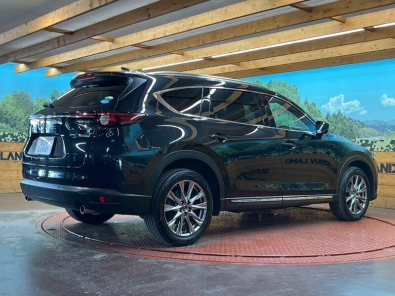 CX-8