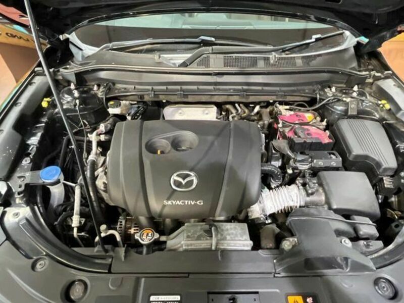 CX-8