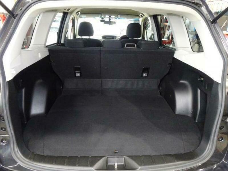 FORESTER