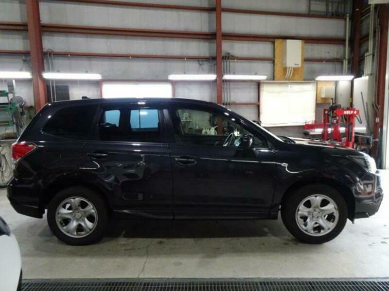 FORESTER