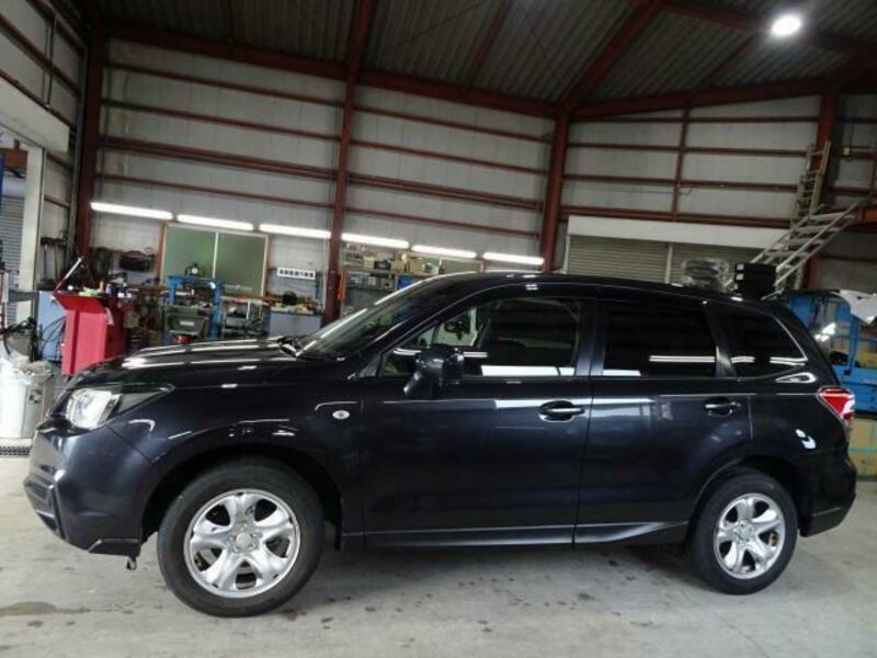 FORESTER