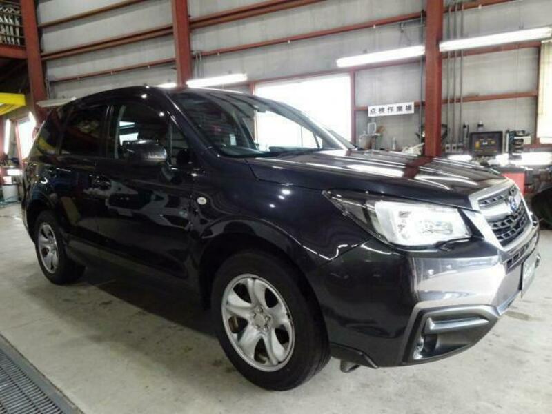 FORESTER