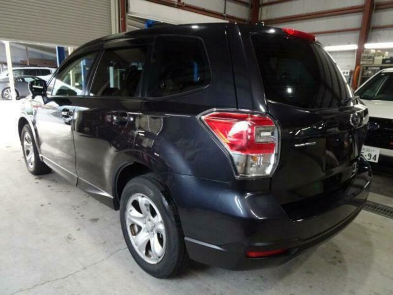 FORESTER