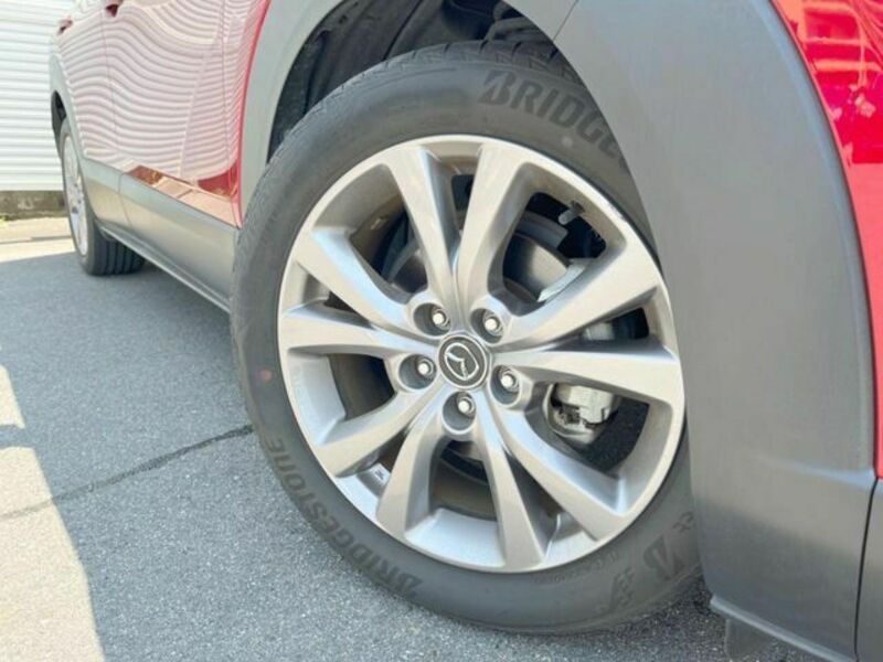 CX-30