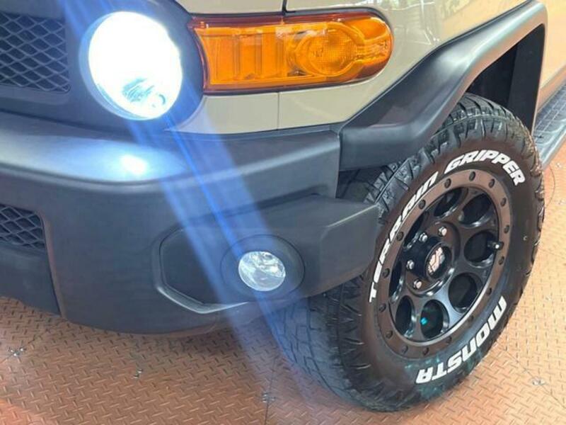 FJ CRUISER