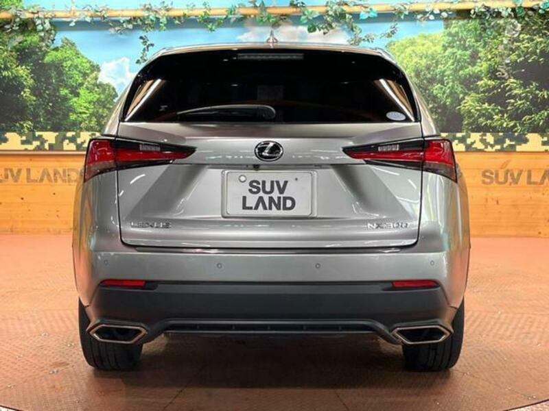 NX
