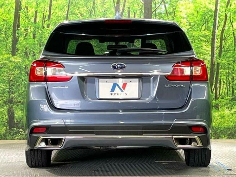 LEVORG