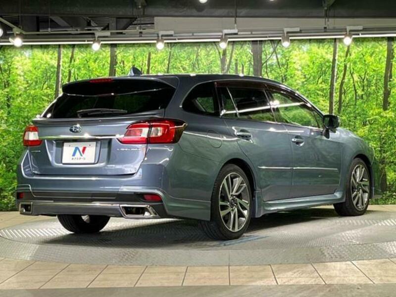 LEVORG