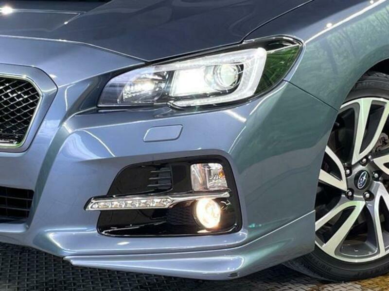 LEVORG