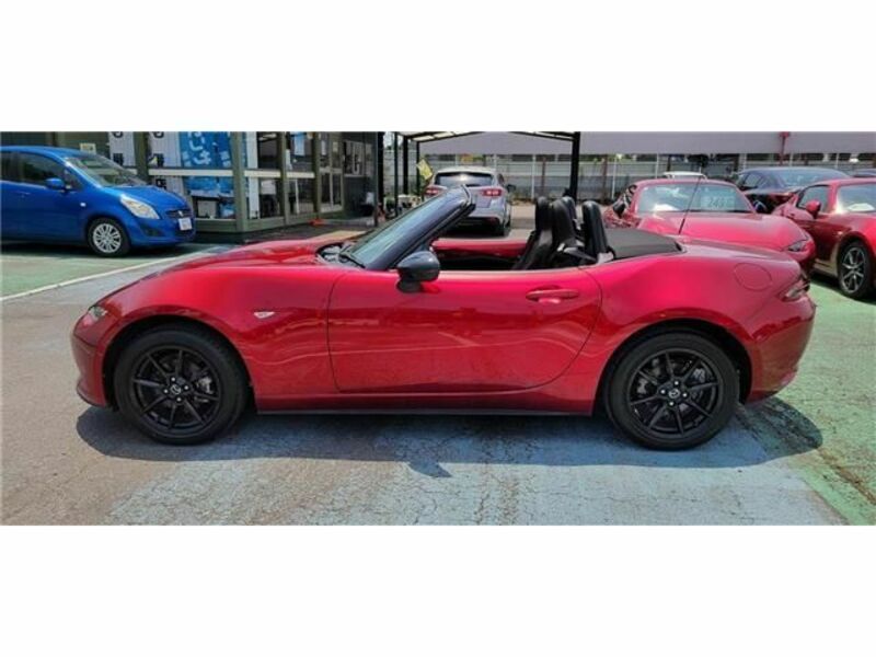 ROADSTER