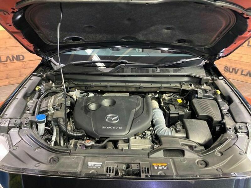 CX-8