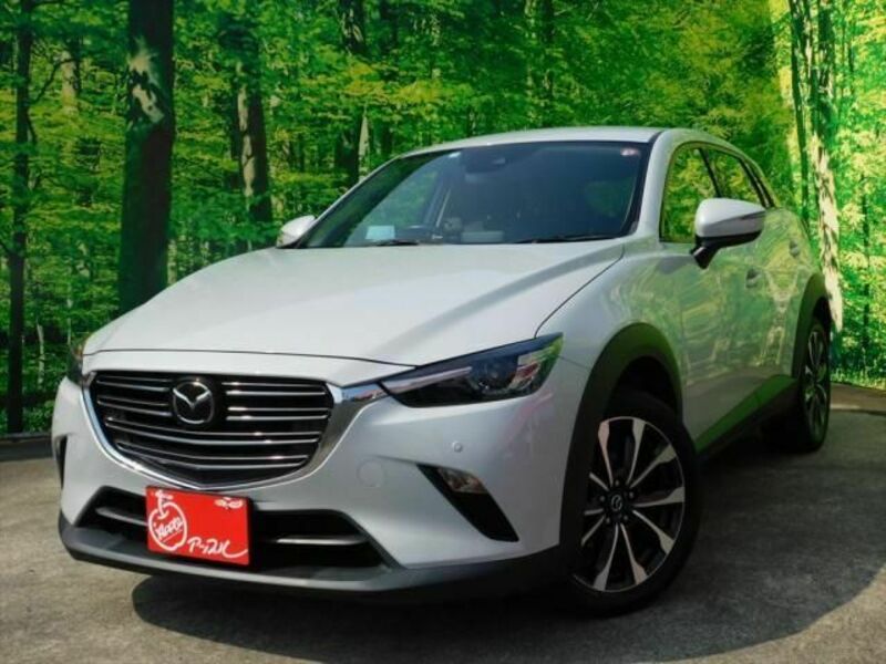 CX-3-0
