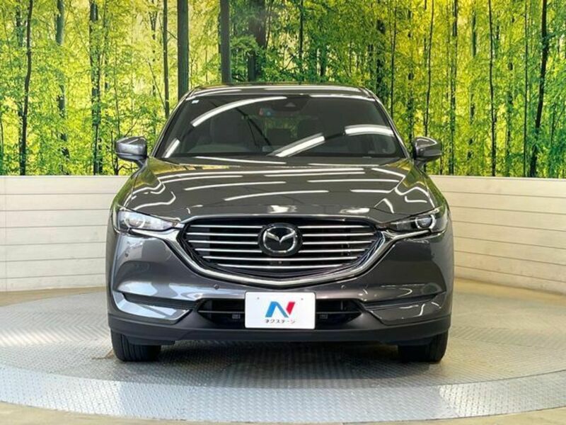 CX-8
