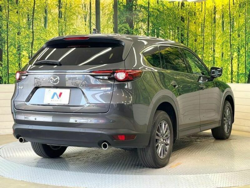 CX-8