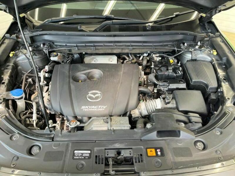 CX-8