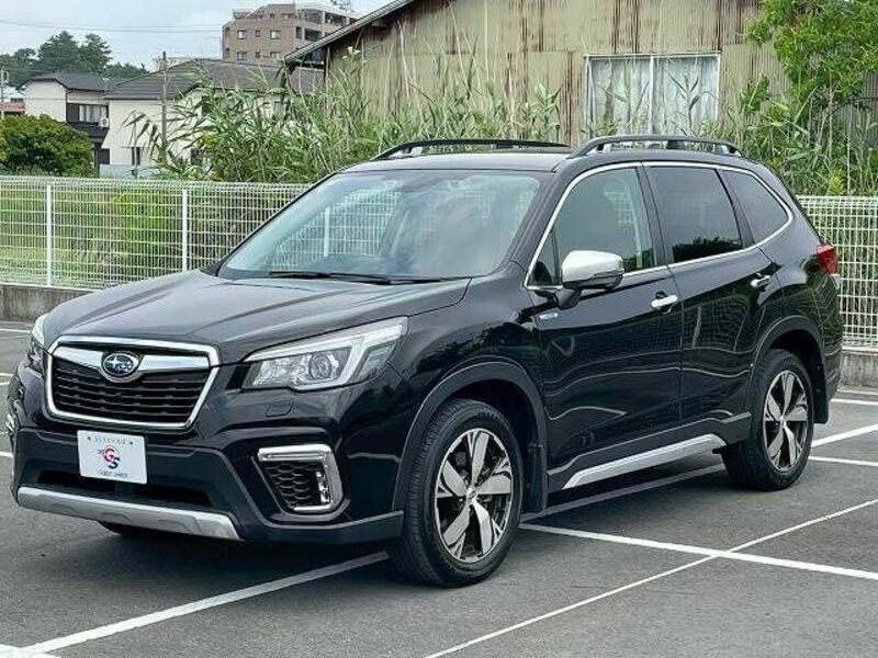 FORESTER