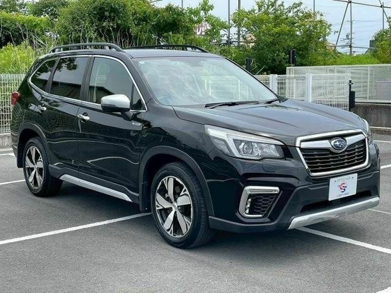 FORESTER