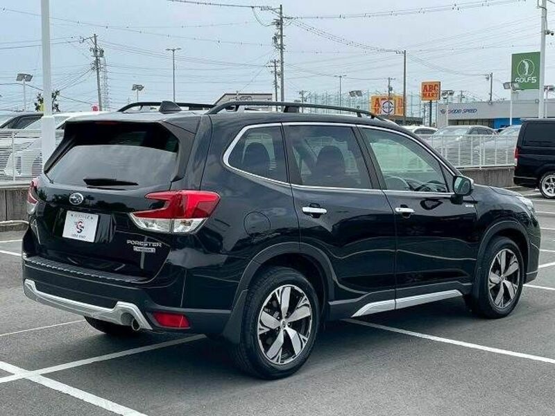 FORESTER