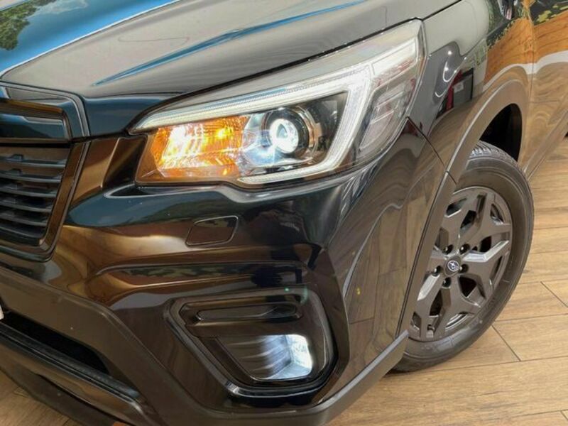 FORESTER