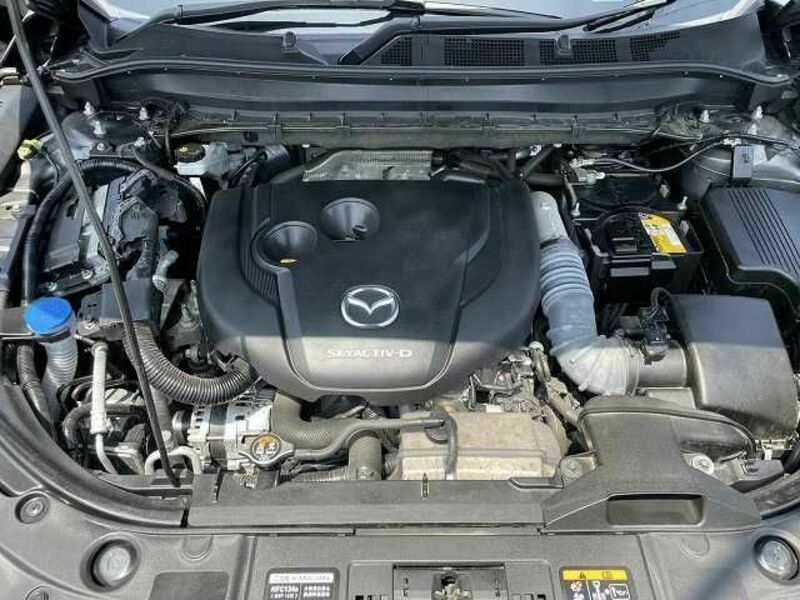 CX-8