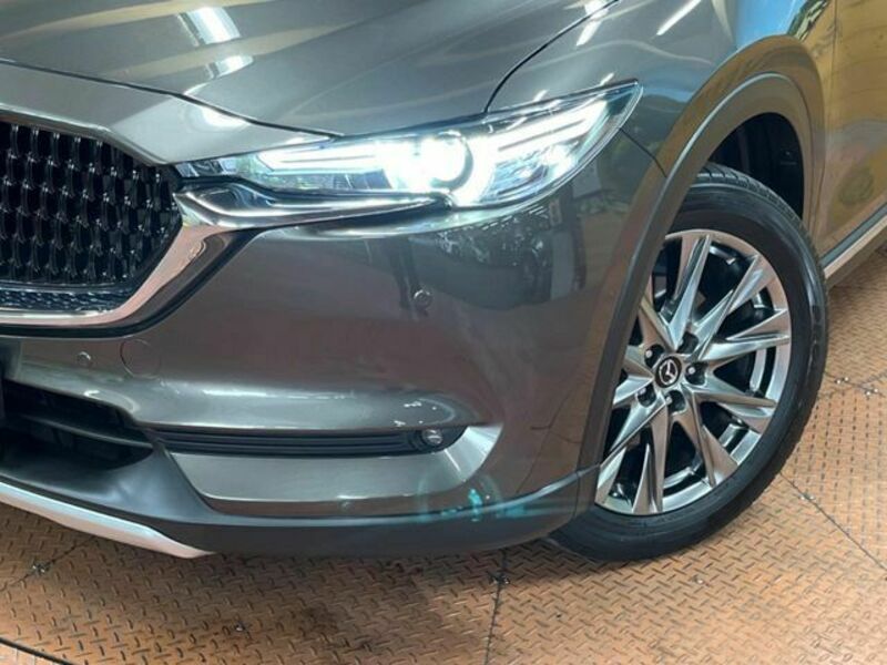 CX-8