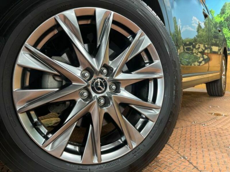 CX-8