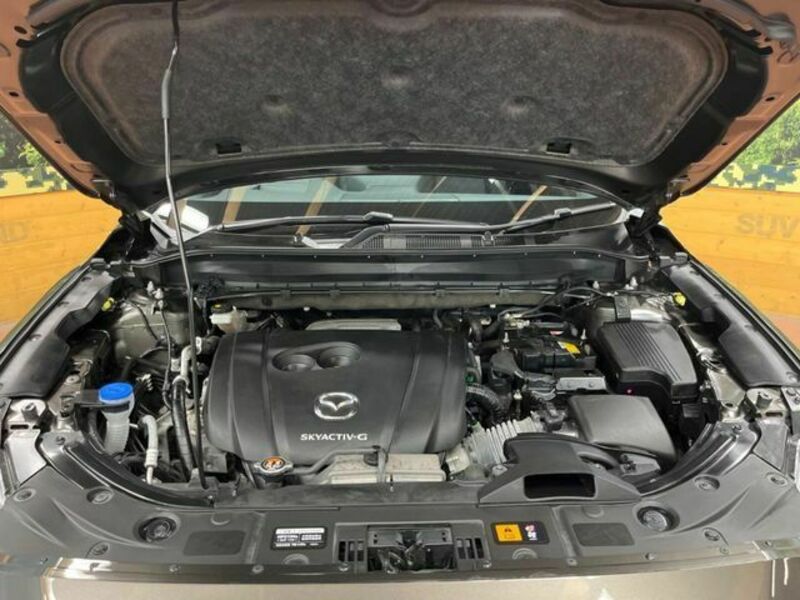 CX-8