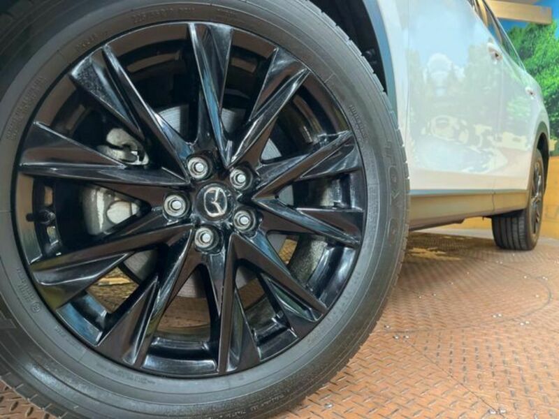 CX-8