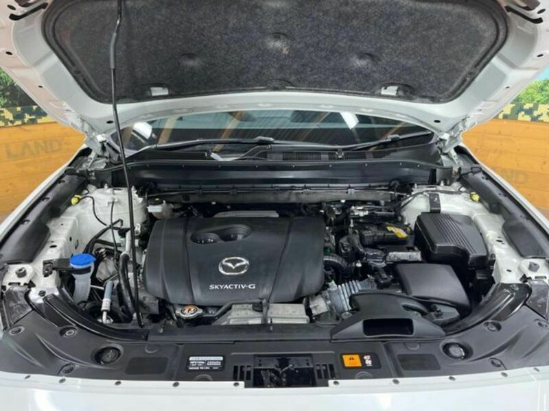 CX-8