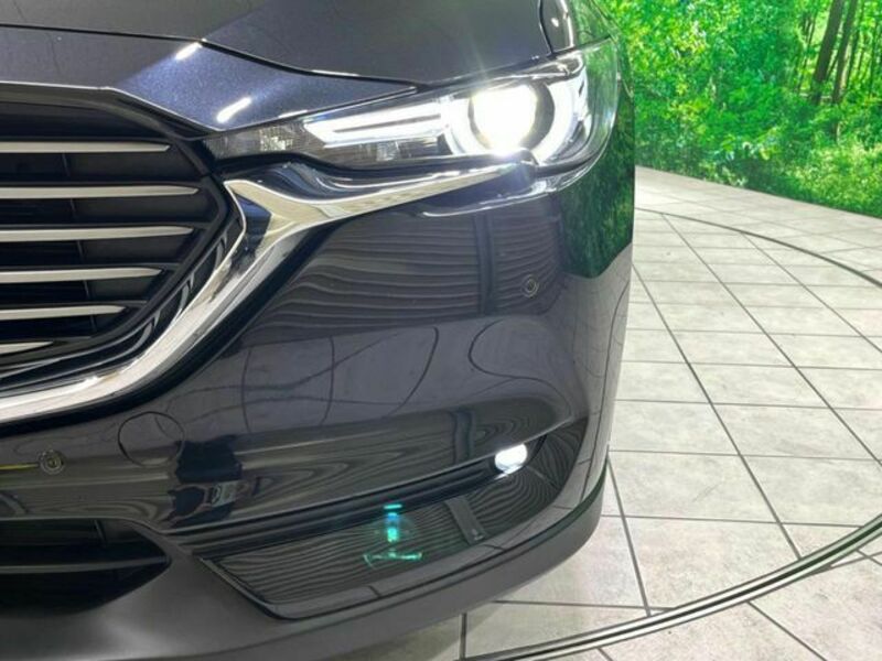 CX-8