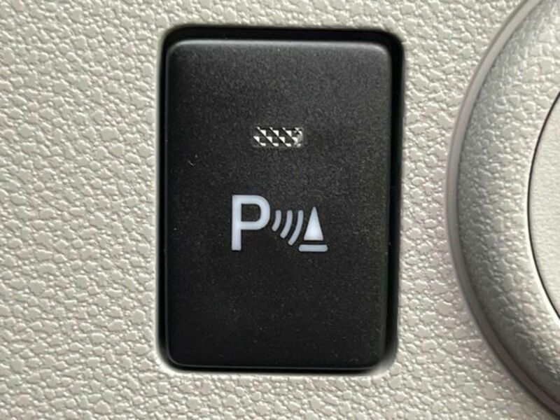 PLEO PLUS