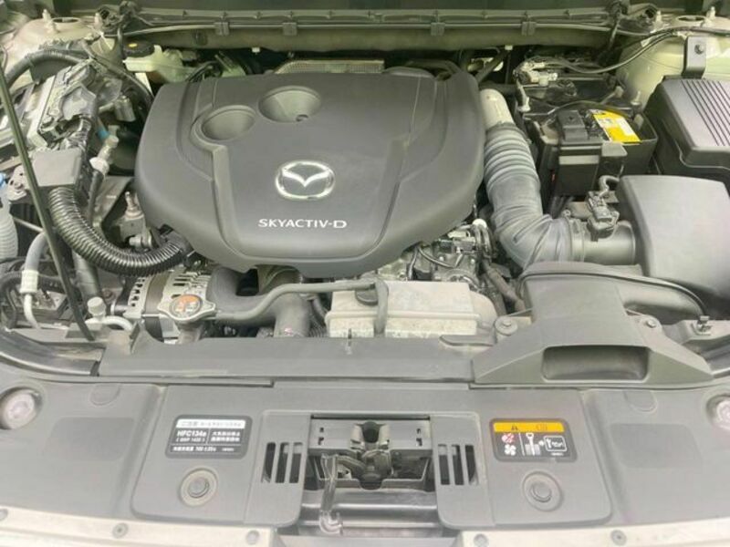 CX-8