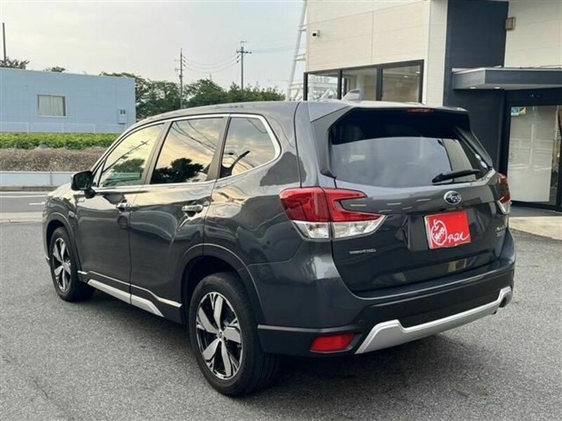 FORESTER