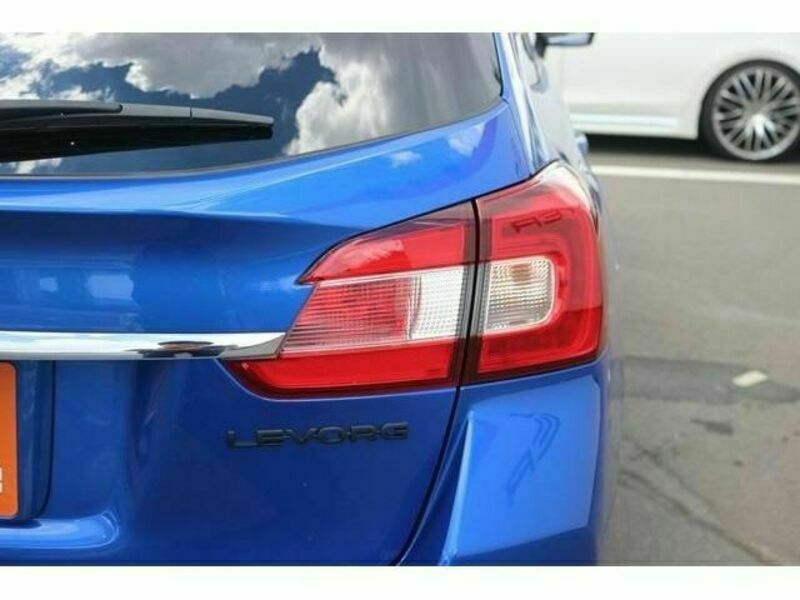 LEVORG