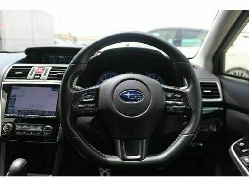 LEVORG