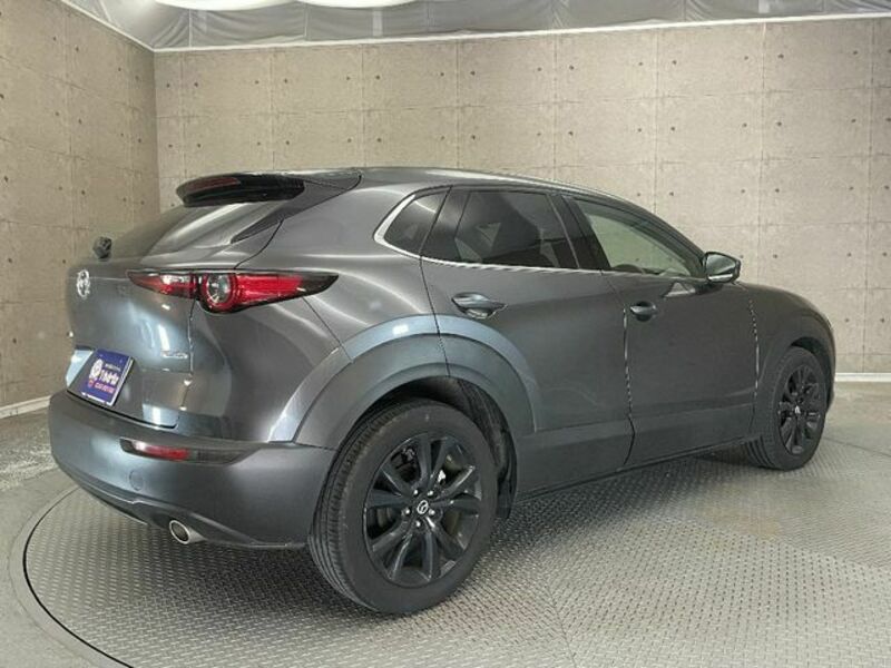 CX-30