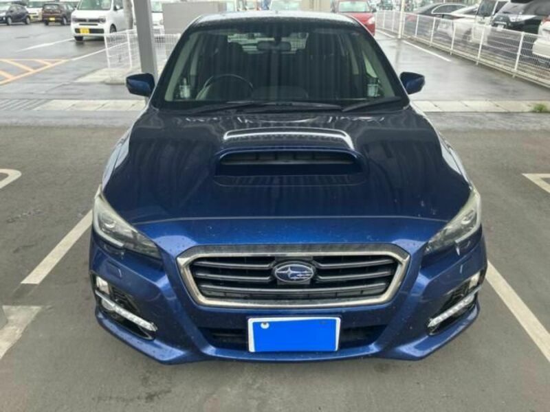 LEVORG-0