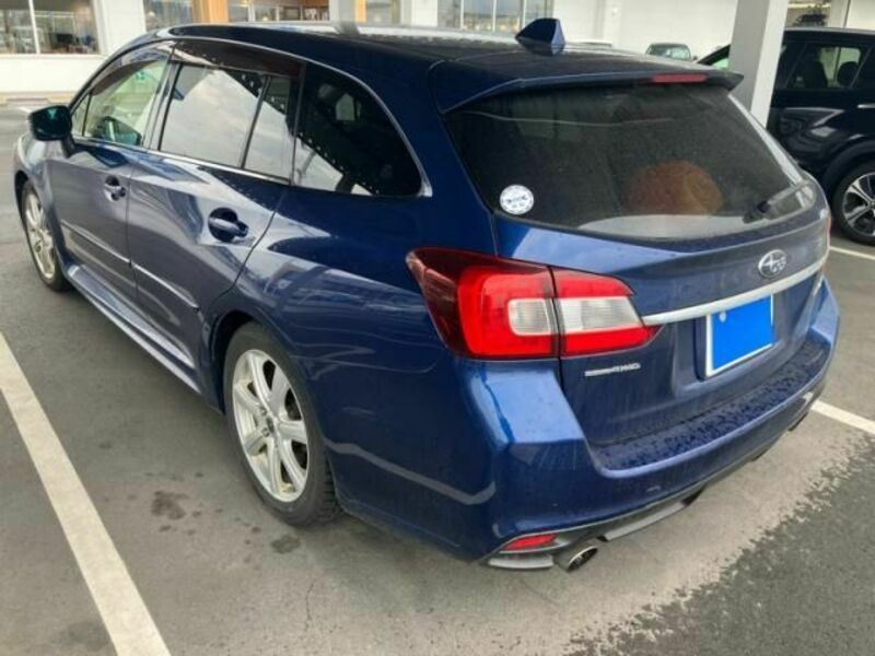 LEVORG
