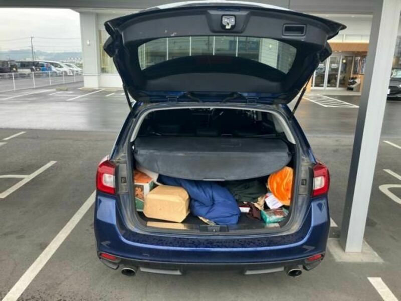 LEVORG