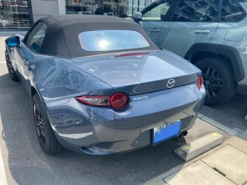 ROADSTER