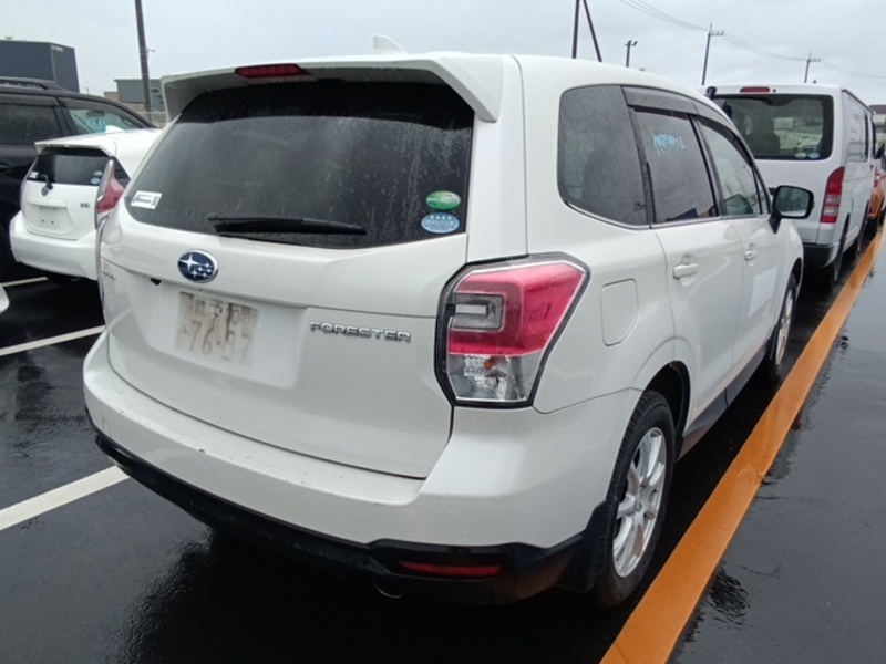FORESTER