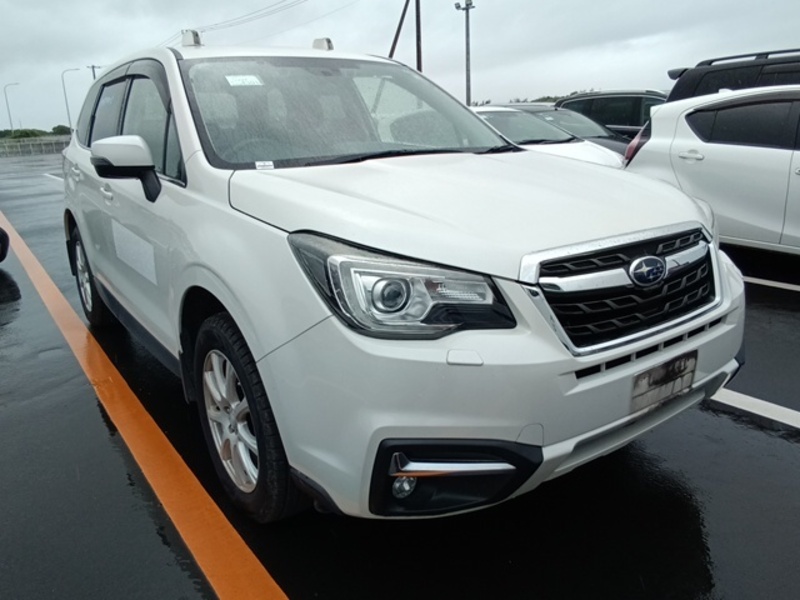 FORESTER