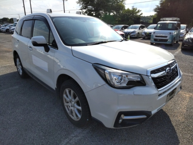 FORESTER
